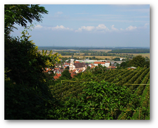 Blick vom Michaelsberg auf Riegel